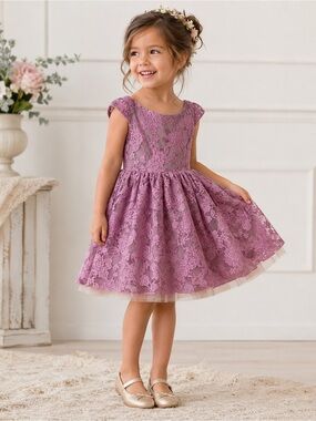 NWT - Joyfolie Size 3 Purple Lace Kids Dress